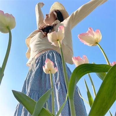 无间道第一季 在线观看封面
